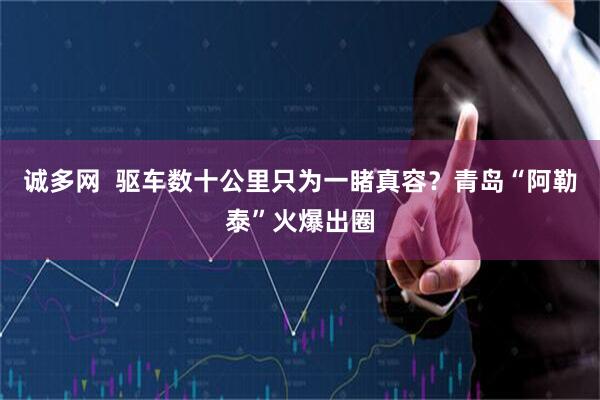 诚多网  驱车数十公里只为一睹真容？青岛“阿勒泰”火爆出圈