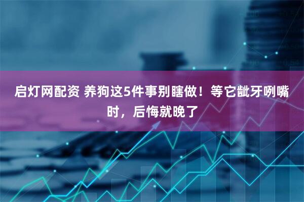 启灯网配资 养狗这5件事别瞎做！等它龇牙咧嘴时，后悔就晚了